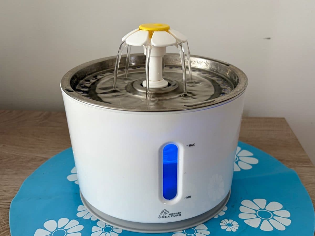 A cat water fountain with a stainless steel top and a flower-shaped spout on a blue mat
